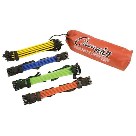 Champion Sports 17 x 5 x 5 in. Sectioned Agility Ladder Set, Multicolor AGLCLR
